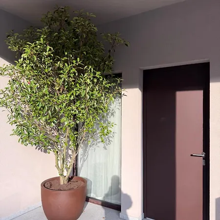 Soho Boutique Laibach